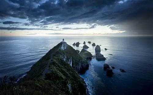 Насладитесь драматическими видами в Наггет-Пойнт на побережье Отаго.