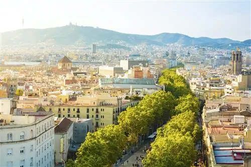 Вид на Лас-Рамблас и городской пейзаж Барселоны