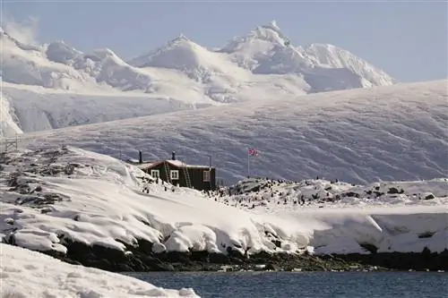 Далекий снимок Антарктического полуострова, острова Гудье, старой британской базы в Порт-Локрой, дома Брансфилда.