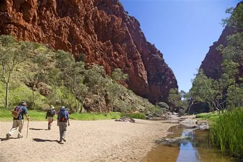 Бушволкеры в Симпсоновском ущелье на тропе Ларапинта.
