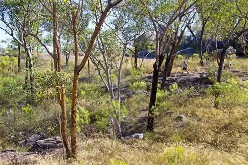 Путешественник на плато вершины скалы Нурланги.