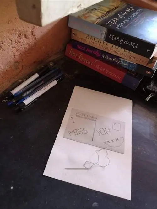 Полли Индия 4-j.webp