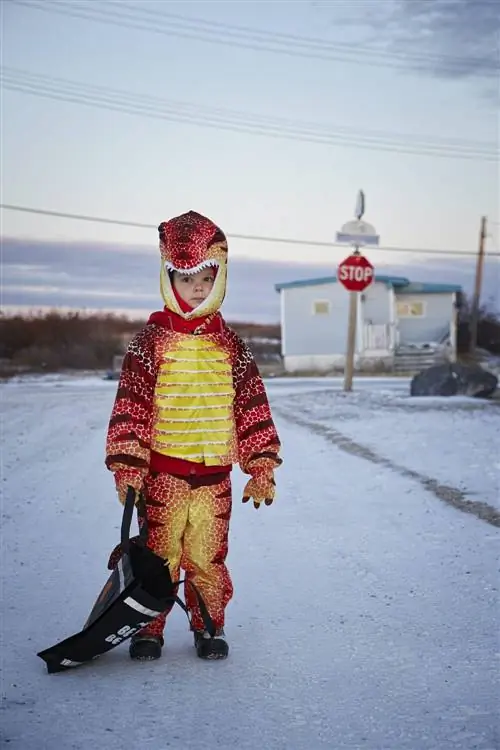 Черчилль активизирует свою программу предупреждения о белых медведях в ночь на Хэллоуин