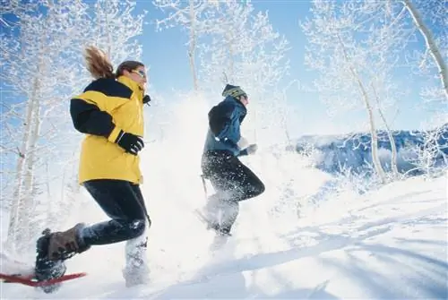 Прогулки на снегоступах - еще одно популярное занятие в Парк-Сити.