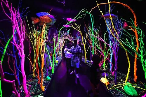 Туристическая достопримечательность Meow Wolf, которая была описана как захватывающий мультимедийный опыт в старом боулинге в Санта-Фе, Нью-Мексико