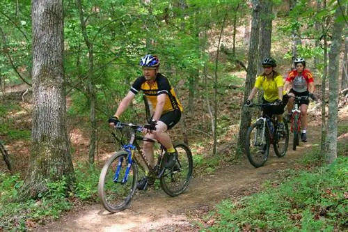 Свежий воздух рядом с городом: Государственный парк Оук-Маунтин - отличное место для велосипедных прогулок.