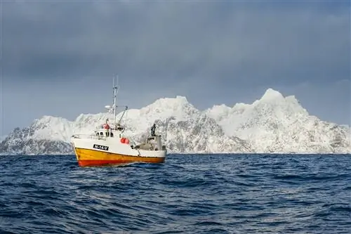 Лодка кружит возле города Хеннингсвер, отслеживая косяки трески на радаре.