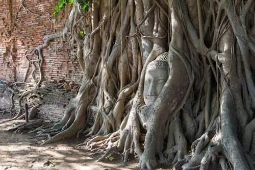 Сказка о двух тайских городах: как посетить Аютайю и Лопбури всего за один день
