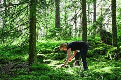Самые счастливые люди в мире проводят виртуальные уроки счастья