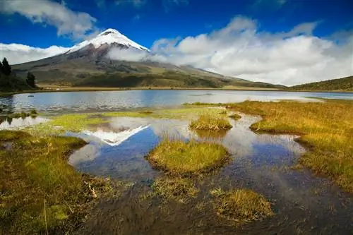 Вулкан Котопакси