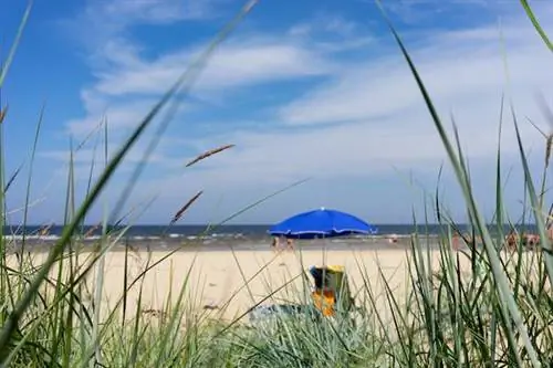 Однодневные поездки из Риги