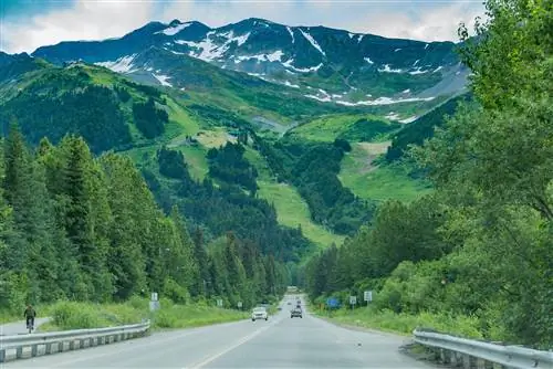 Дорога в национальный парк Денали из Анкориджа в летний день