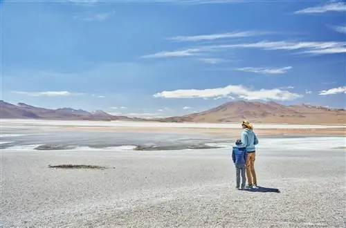 Семья смотрит на лагуну Колорада, Боливия.