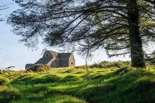 Дублин с привидениями: жуткие туры, истории о привидениях и жуткая история