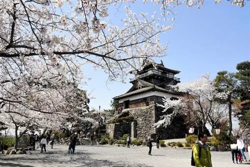 Знакомство с достопримечательностями японского региона Хокурику на поезде