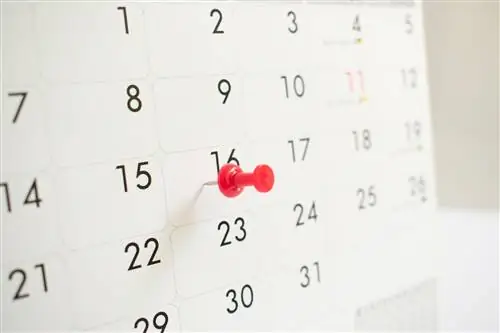 Фото календаря с красной булавкой на 16 число