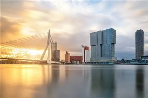 Горизонт Роттердама на восходе солнца с мостом Erasmusbrug над водой