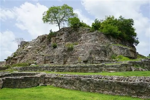 Часть каменной пирамиды, заросшей деревьями и мхом