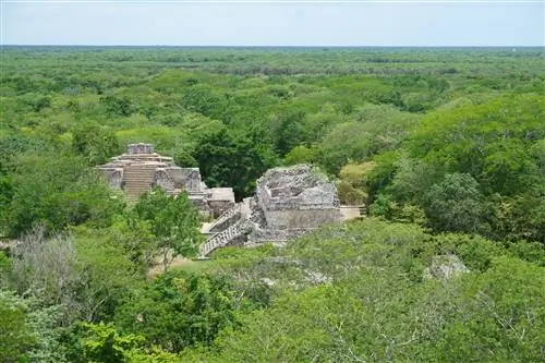 Вид вниз на рушащиеся пирамиды майя среди густого зеленого леса.