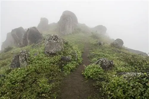 Зеленая зеленая дорожка и скалы в облаках.