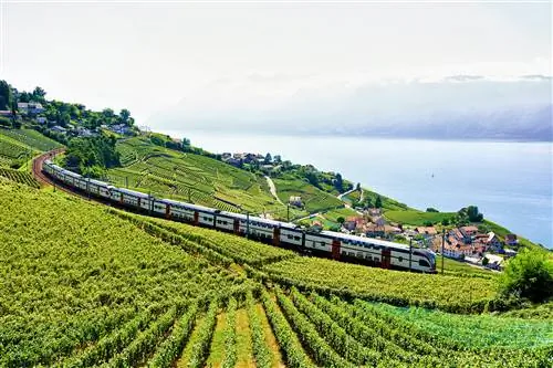 Поезд едет по виноградникам, вид с пешеходной тропы Lavaux Vineyard Terraces возле Женевского озера.