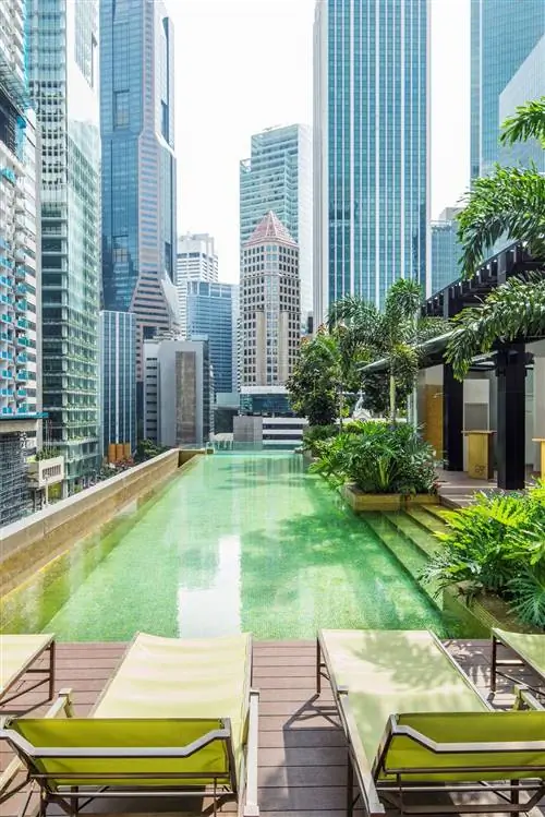Шезлонги и пальмы окружают длинный узкий бассейн на крыше отеля Sofitel, окруженный множеством небоскребов.