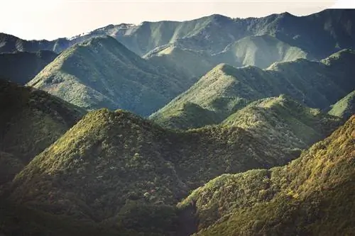 Густые леса покрывают хребты и долины вокруг Такахара.