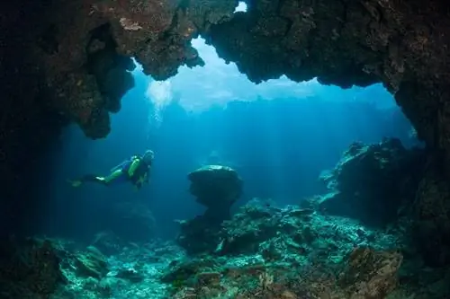 Подводное плавание в подводной пещере морского заповедника Namena.