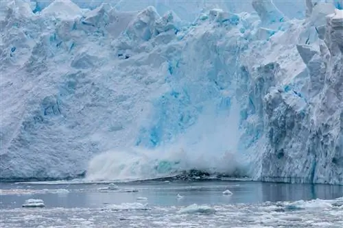 Куски льда откалываются от ледника в море.