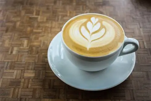 Латте от Coava Coffee.