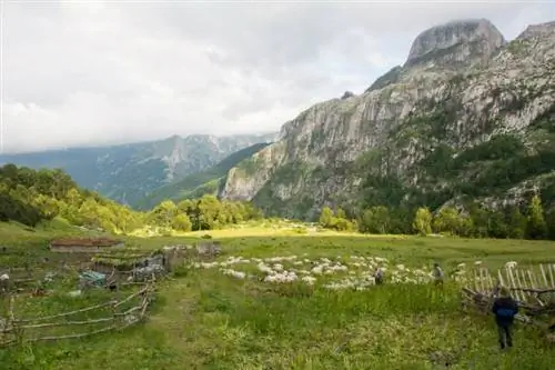 Пастухи в Череме, Албания
