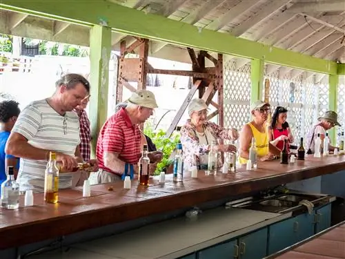 Туристы пробуют ром в винокурне St Lucia Distillers