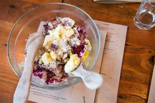 Семейный бранч в Tasty n Alder в центре Портленда.