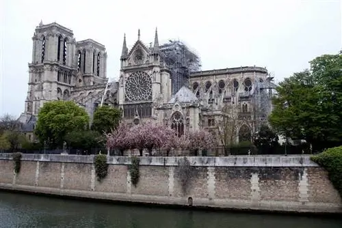 Собор Парижской Богоматери на следующий день после сильного пожара, уничтожившего его крышу