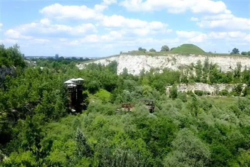 Ливанский карьер