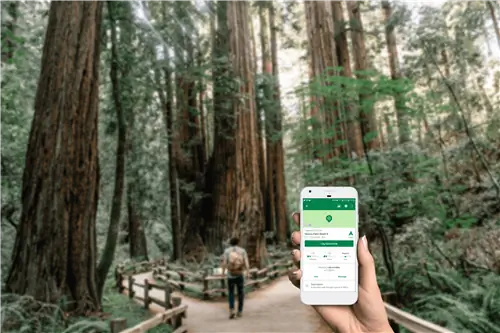 Рука держит смартфон, на котором отображается приложение Geocaching. На заднем плане виден лесной массив с дорожками и деревянным забором.