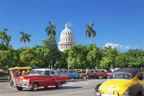 Купол El Capitolio возвышается над деревьями и старинными автомобилями. Купол El Capitolio возвышается над деревьями и старинными автомобилями.