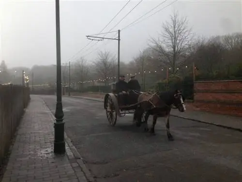 Мужчины на лошадях в Бирмингеме-j.webp