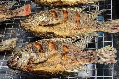 Рыба на гриле, Малайзия.