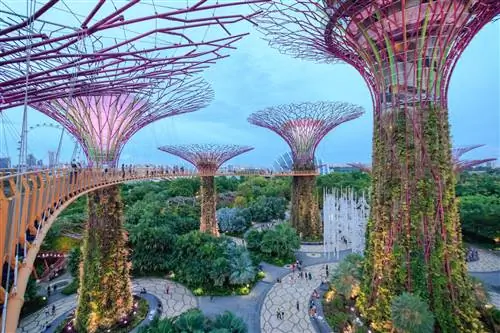 Высокие постройки Supertree Grove в Gardens by the Bay, вид с высокой дорожки.