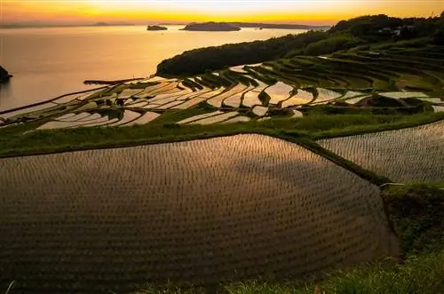 Живописный вид на рисовую террасу Дойя на фоне неба во время заката