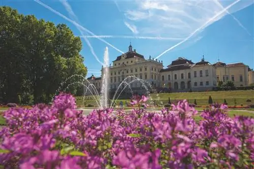 Цветы возле Residenzschloss, Людвигсбург, Германия. Виден фонтан, а вдалеке идут люди.