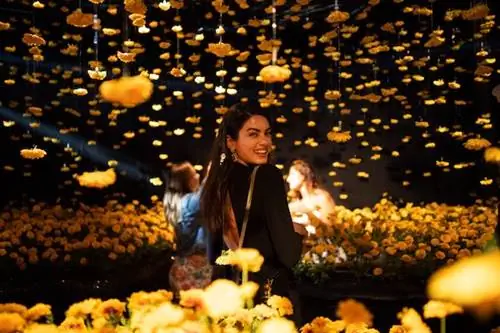 В Сиднее открылась «самая инстаграмная выставка в мире»