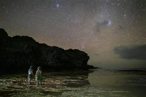 Темное небо над тихоокеанским островом Ниуэ