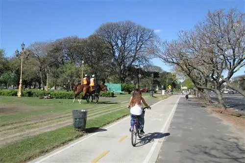 В Буэнос-Айресе есть большая сеть велосипедных дорожек.