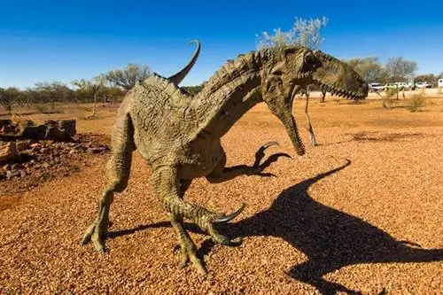 Раскопки Юрской тропы глубинки Квинсленда