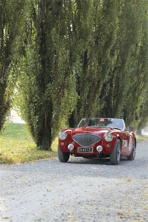 Красный Austin-Healey 1950-х годов на обсаженной деревьями гравийной дороге.