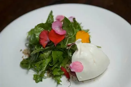 Тайные ужины: закрытые рестораны Буэнос-Айреса