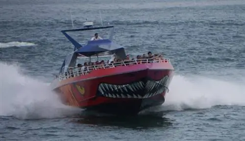 Codzilla занимается масштабированием.