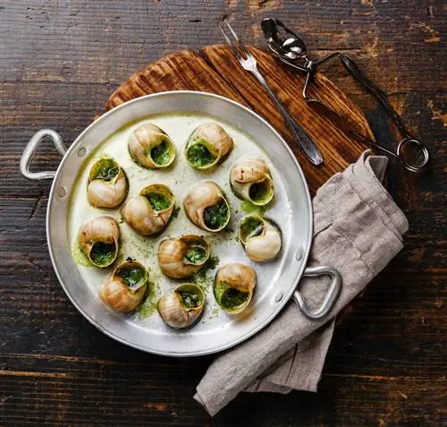 Алюминиевая сковорода с улитками escargots de Bourgogne с чесноком, травами и маслом на деревенском деревянном столе